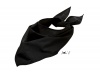 BANDANA CORES