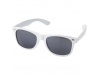Oculos de sol CROCKETT
