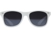 Oculos de sol CROCKETT