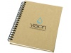 Caderno Mendel