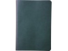 Caderno Chameleon