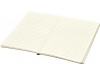Caderno Chameleon