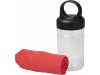 Toalha refrescante em recipiente PET Remy