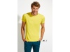 T-shirt Justa de Gola Redonda para Homem CORES REGENT FIT