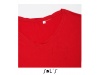 T-SHIRT DECOTE EM V PARA SENHORA CORES MOD WOMEN