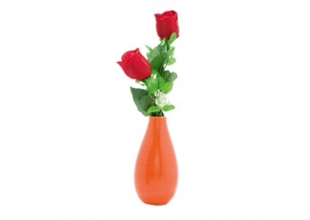 Vaso Celane