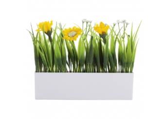 Planta decorativa