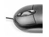 RATO BACKUP