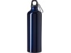 Garrafa de alumnio (750 ml)