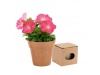 Vaso Biodegradvel + Sementes de Flores Petnia ADVERT