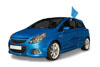 Bandeira Carro