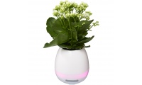 Altifalante Bluetooth Greeen Thumb Flower Pot