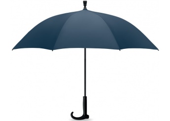 Chapu-de-chuva