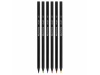 Conjunto para Colorir Cont by BIC (Impresso Offset na Bolsa)