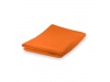 Toalha Absorvente Lypso
