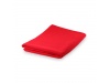 Toalha Absorvente Lypso