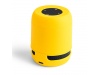 Altifalante Bluetooth Braiss
