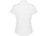 Camisa SOFIA