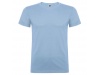 T-shirt Beagle Adulto-Cores