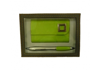 Conjunto porta-Cartes + Caneta