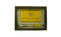 Conjunto porta-cartes e caneta