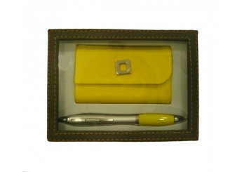 Conjunto porta-cartes e caneta