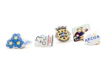 Pins flexvel personalizado