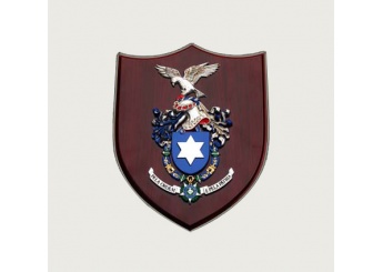 Emblemas Personalizados
