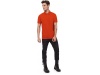 Polo bio homem Cores