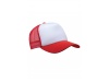 BON TRUCKER 5 PAINIS