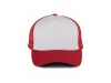 BON TRUCKER 5 PAINIS