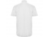Camisa manga curta Homem AIFOS 3XL
