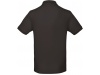 Polo bio homem Cores