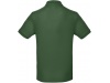Polo bio homem Cores