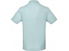 Polo bio homem Cores