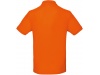 Polo bio homem Cores