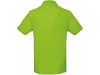 Polo bio homem Cores