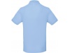 Polo bio homem Cores