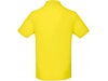 Polo bio homem Cores