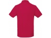 Polo bio homem Cores