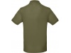 Polo bio homem Cores