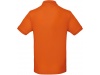Polo bio homem Cores