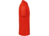 Polo bio homem Cores