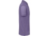 Polo bio homem Cores