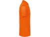 Polo bio homem Cores