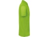 Polo bio homem Cores