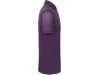 Polo bio homem Cores
