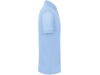 Polo bio homem Cores