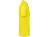 Polo bio homem Cores