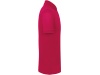 Polo bio homem Cores